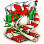 Cardiff Coaster 4