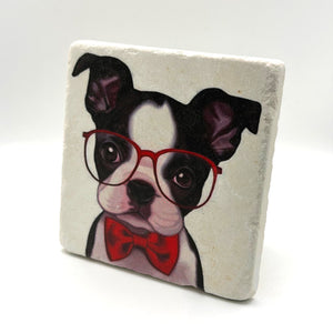 Boston Terrier breed portrait printed on square travertine stone coaster