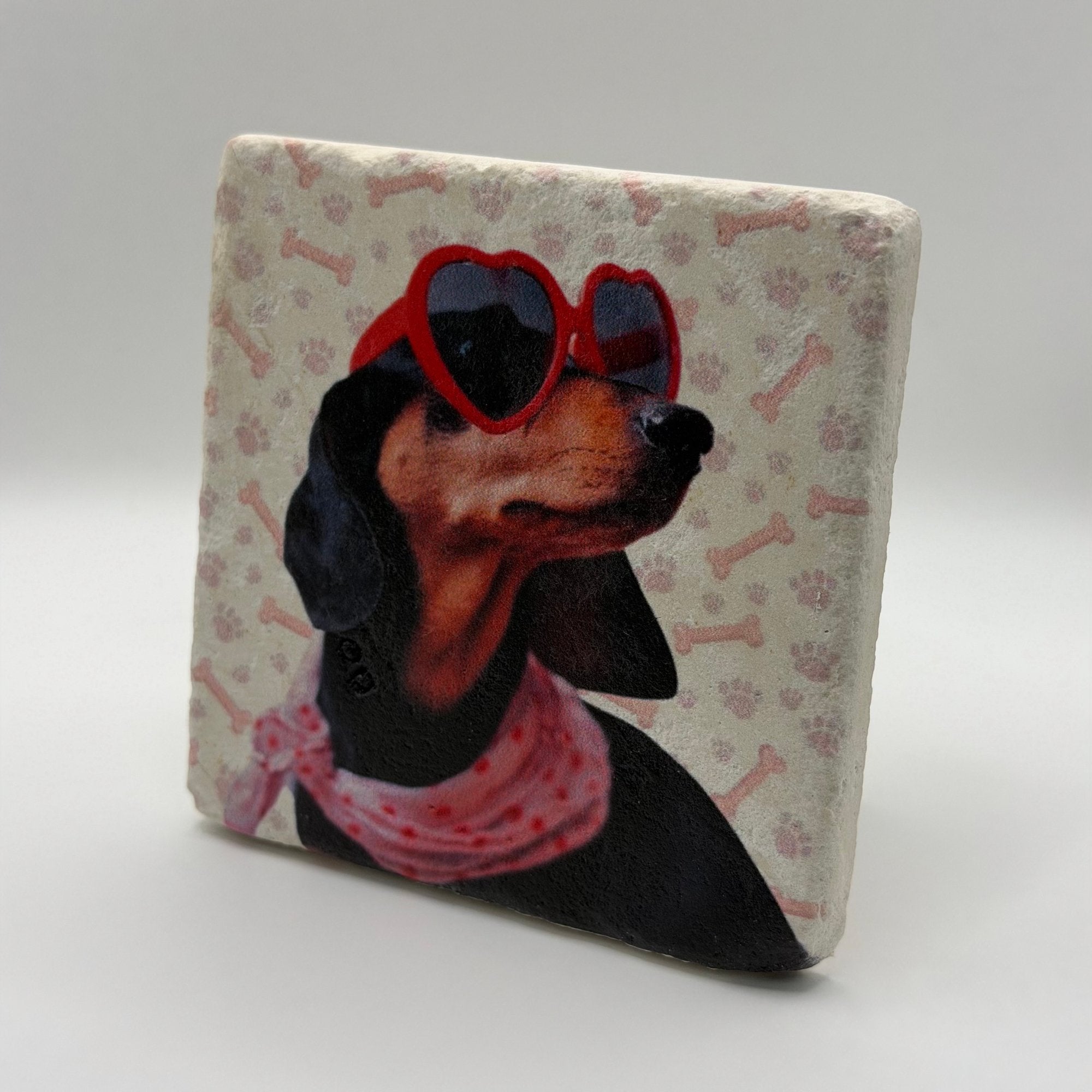 Dachshund Pink Scarf Portrait Stone Coaster