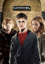Harry Potter trio artwork printed on MDF wall poster for a magical movie theatre decor