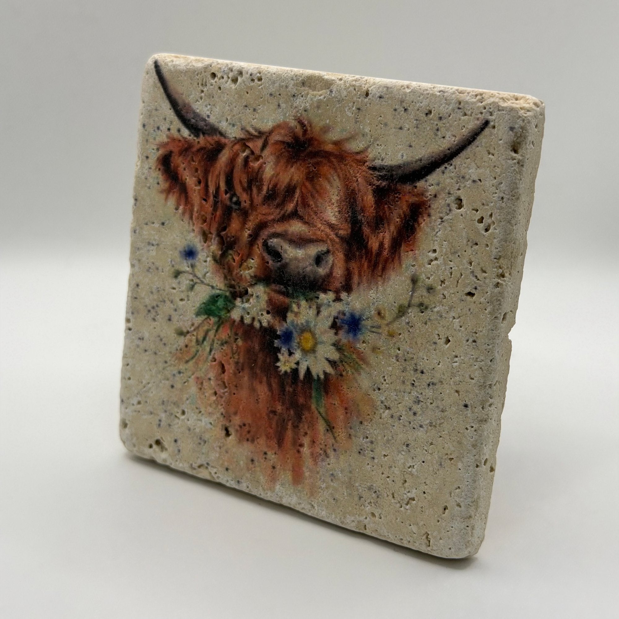 Highland Cow Daisy Coo Portrait Stone Coaster