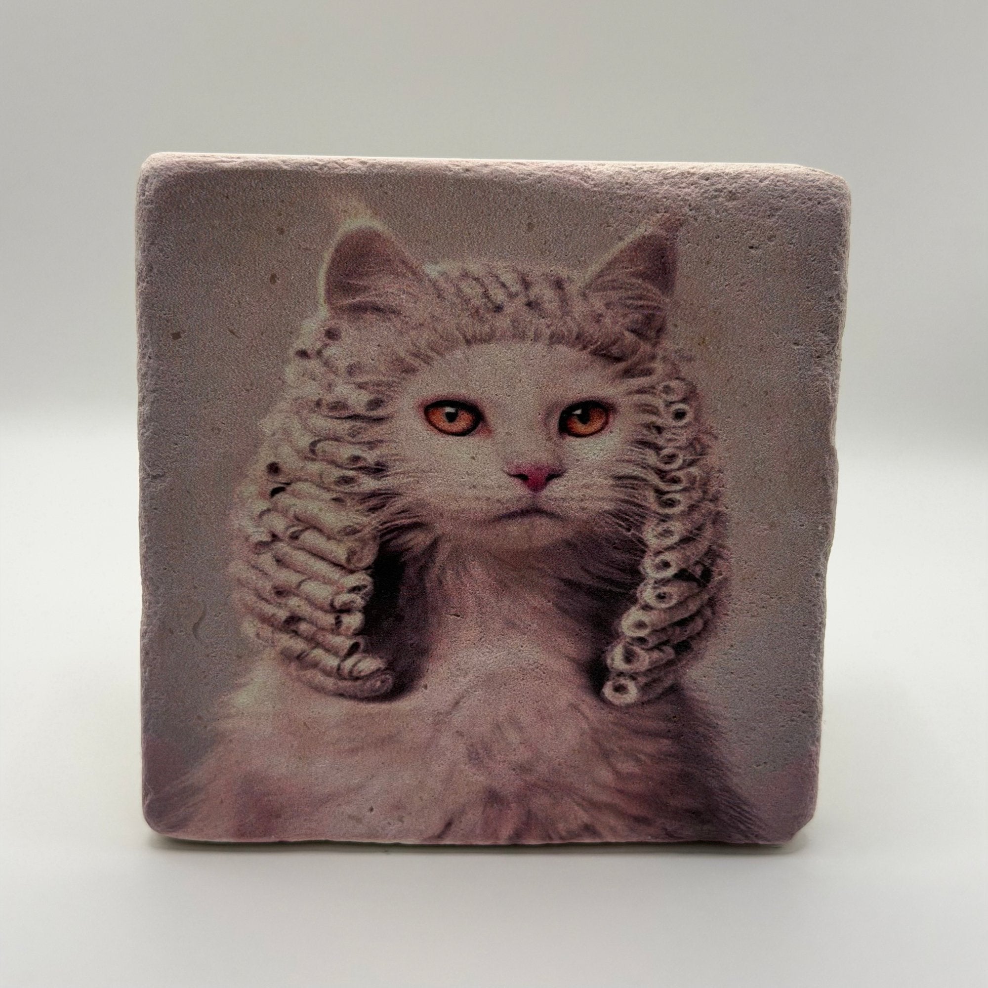 If Animals Could Jugde Cat Portrait Stone Coaster