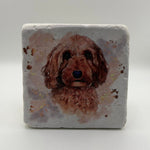 Illustration of a labradoodle printed on square travertine stone coaster