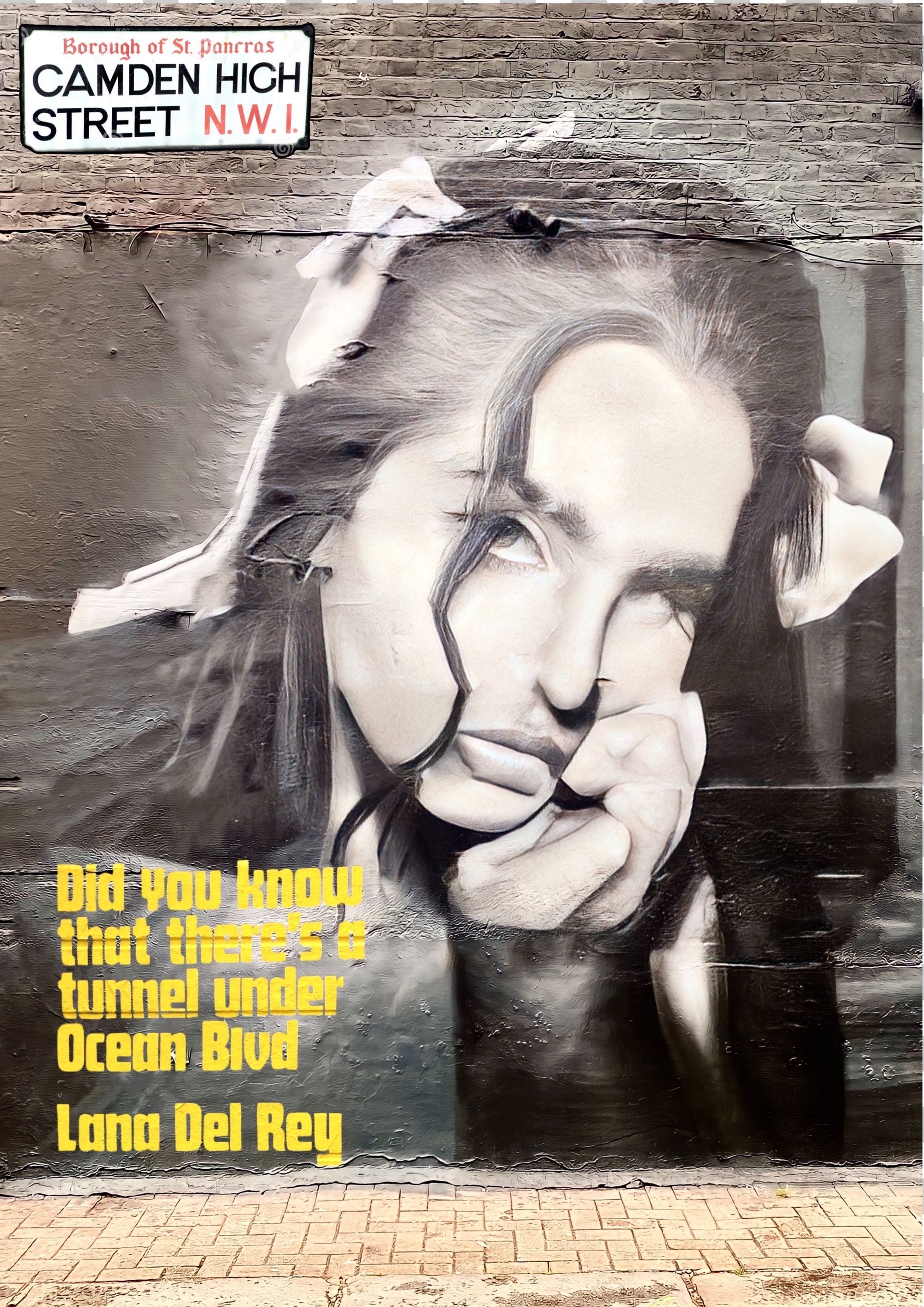 Lana Del Rey Camden Street artwork printed on MDF wall poster