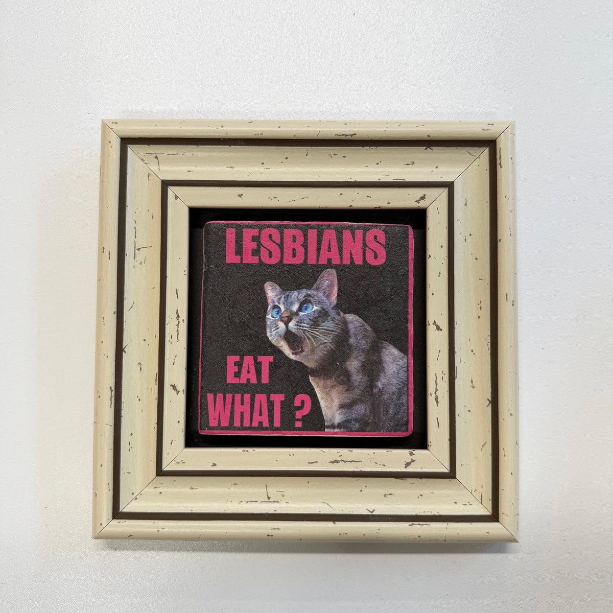 Variant Mapping v4 | lesbians-eat-what-natural-stone-coaster | with White Frame | sha256:a9c6bbeb56aa