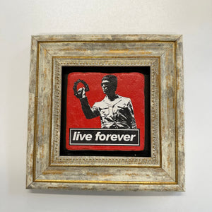 Variant Mapping v4 | oasis-live-forever-natural-stone-coaster | with Gold Frame | sha256:dcd5450ee91d