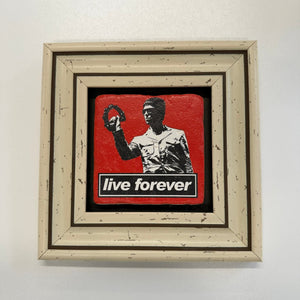 Variant Mapping v4 | oasis-live-forever-natural-stone-coaster | with White Frame | sha256:9da4b60c10a8