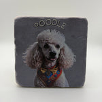 Cute poodle artwork printed on square travertine stone coaster