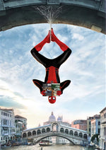 Spider-Man Venice movie theatre artwork printed on MDF wall poster