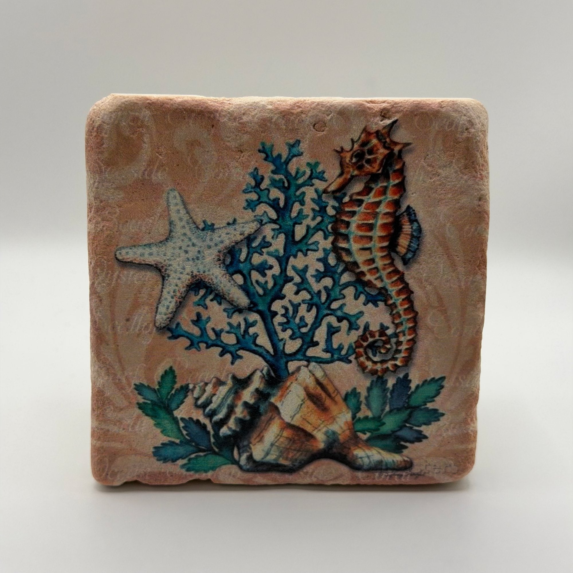 Under the Sea Starfish Seahorse Stone Coaster