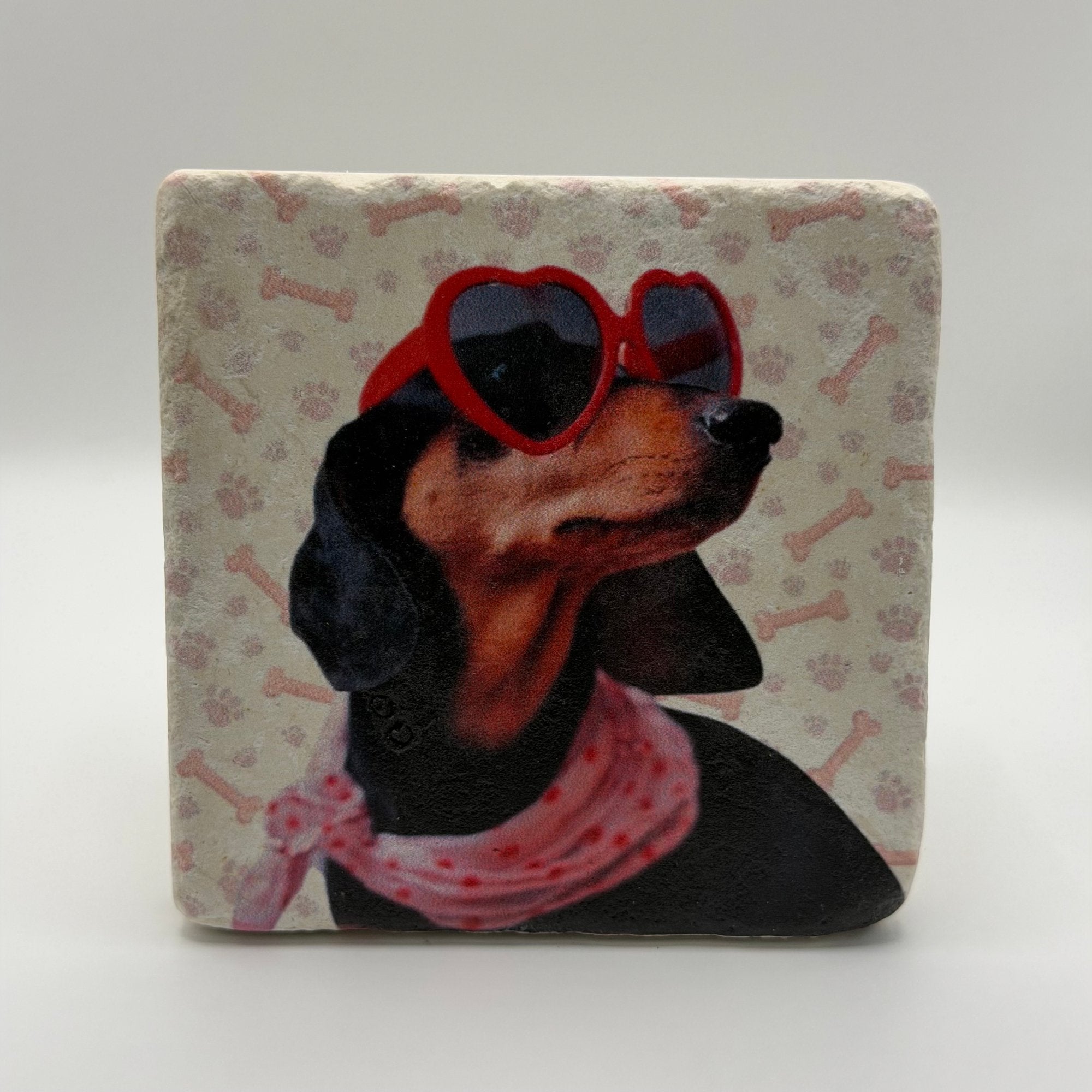 Dachshund Pink Scarf Portrait Stone Coaster