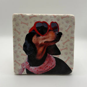 Dachshund Pink Scarf Portrait Stone Coaster