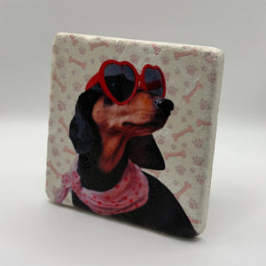 Dachshund Pink Scarf Portrait Stone Coaster