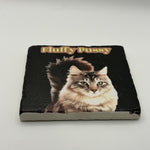 Fuzzy Pussy Natural Travertine Stone Coaster artwork