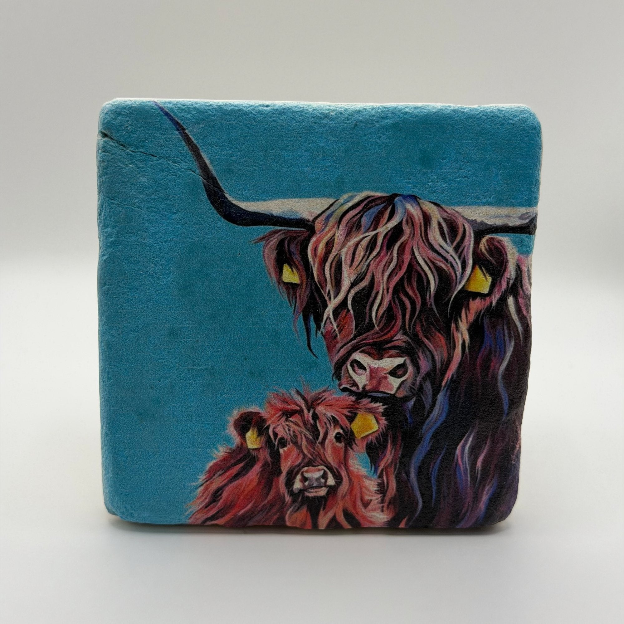 Highland Cow And Calf Portrait Stone Coaster