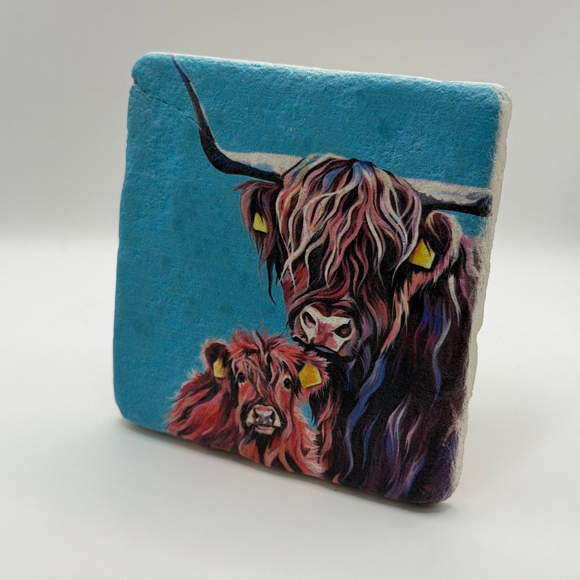 Highland Cow And Calf Portrait Stone Coaster