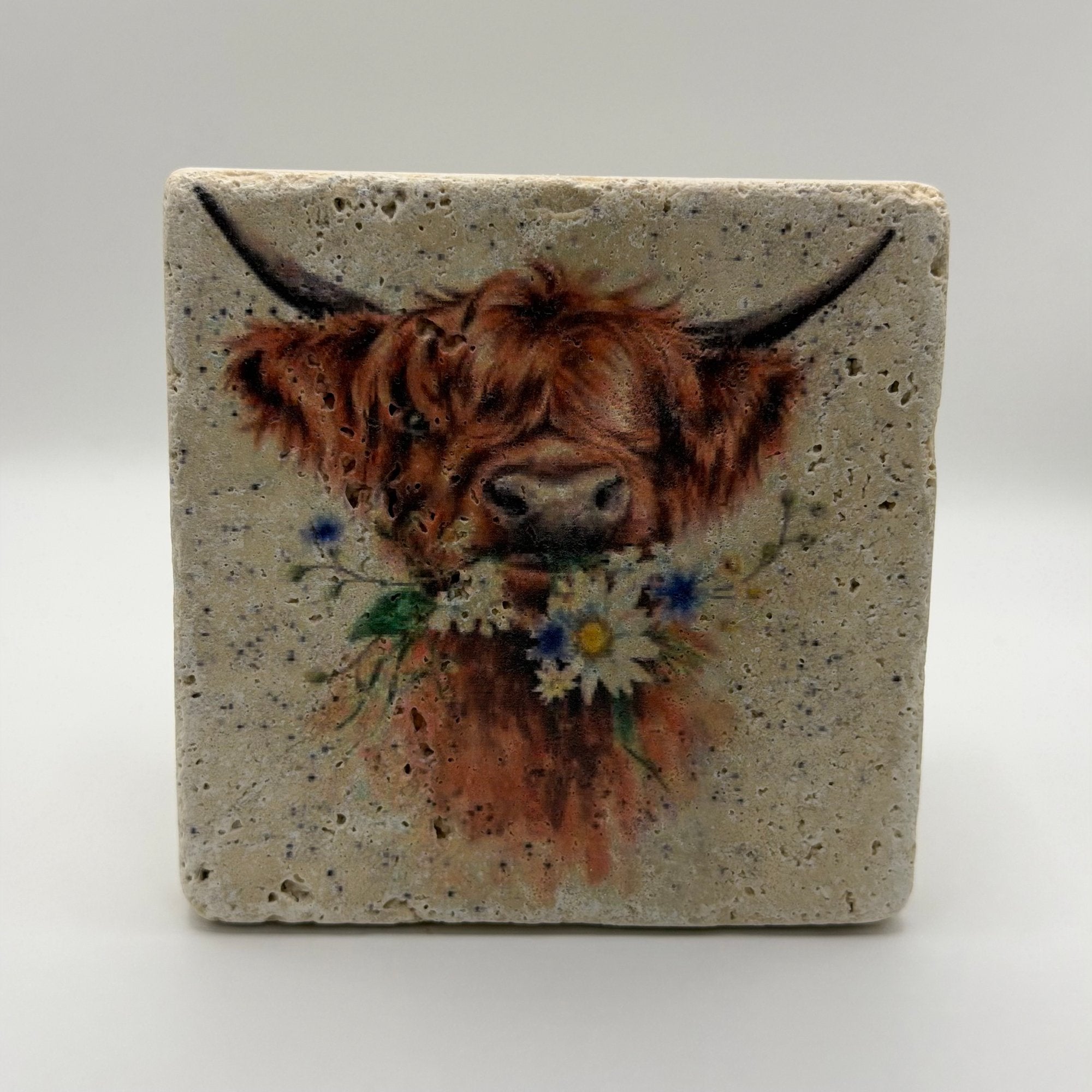 Highland Cow Daisy Coo Portrait Stone Coaster