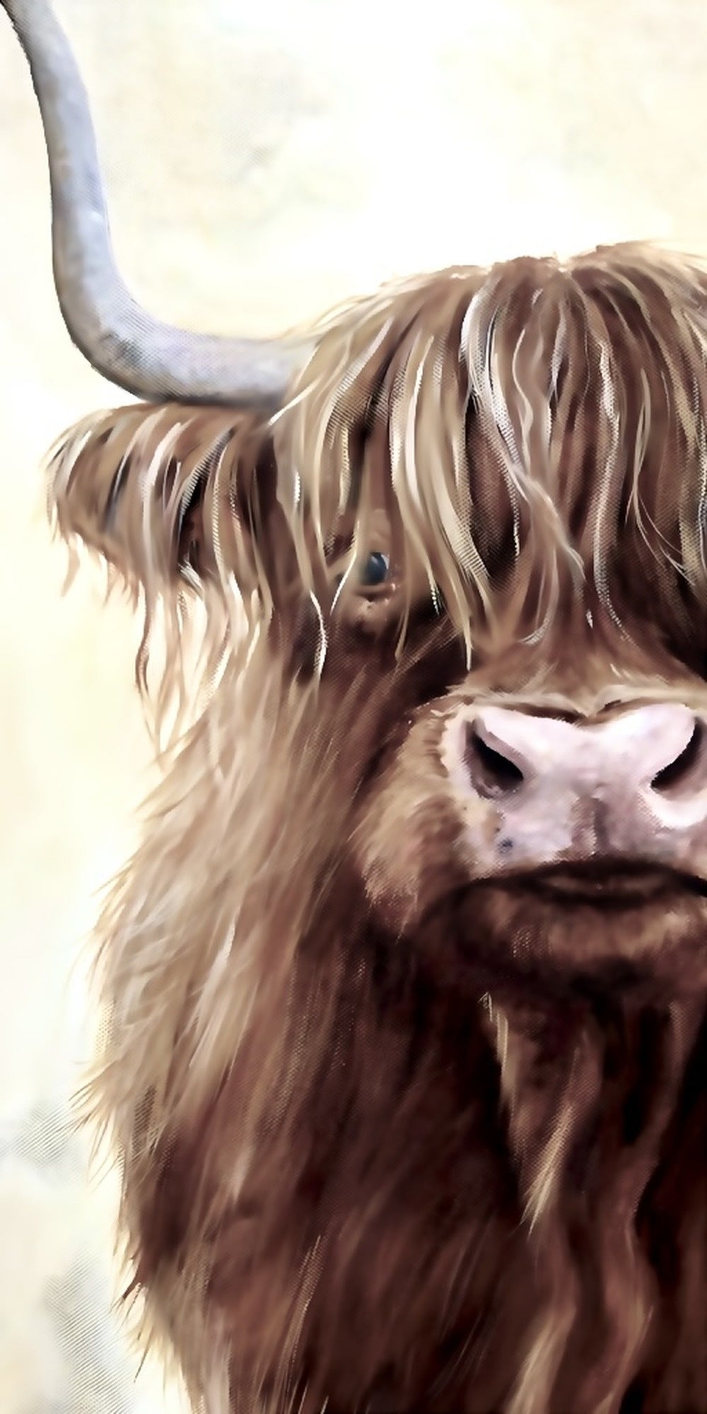 Highland cow oil painting design displayed as a rustic wooden wall sign