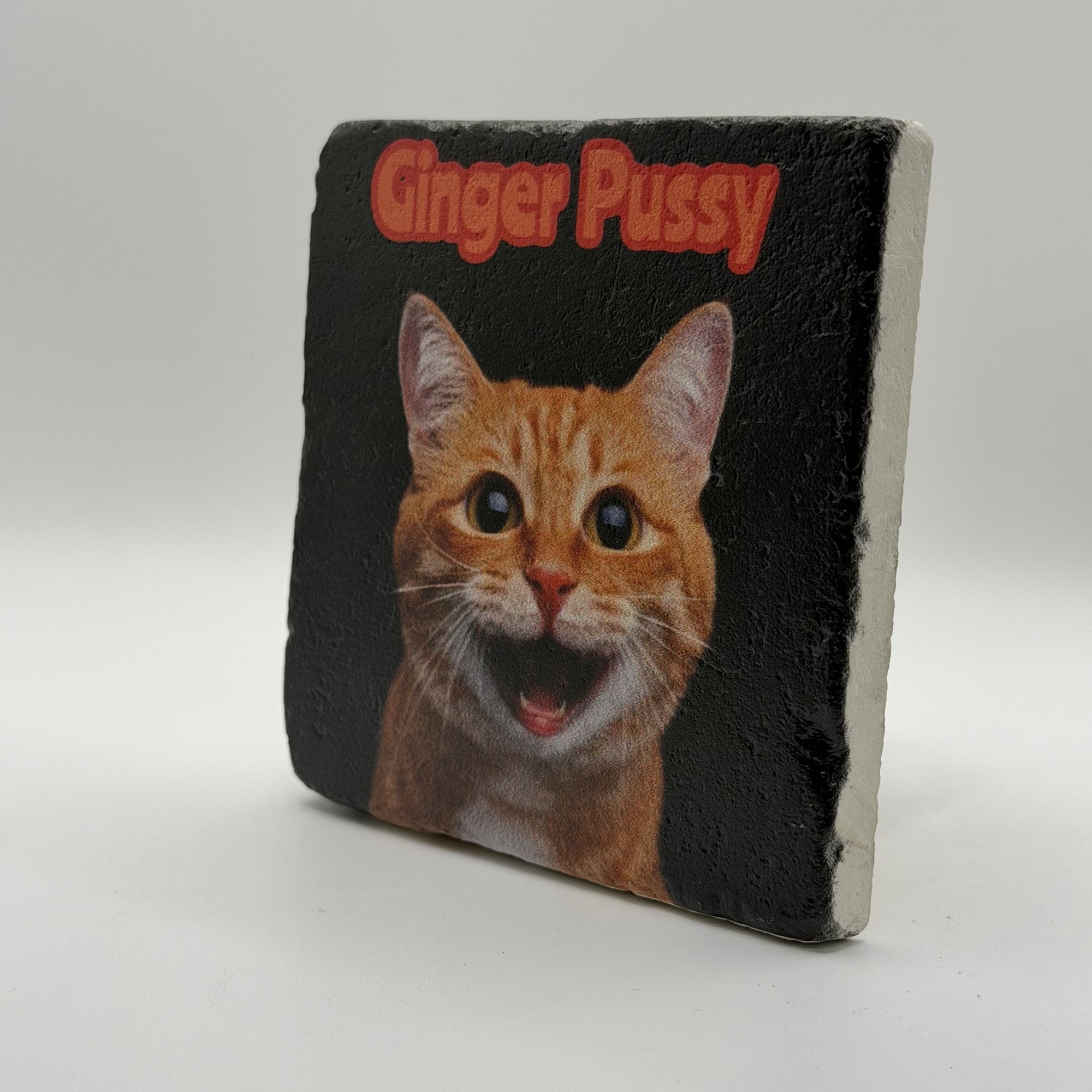 I Have The Pussy So I Make The Rules Natural Travertine Stone Coaster artwork
