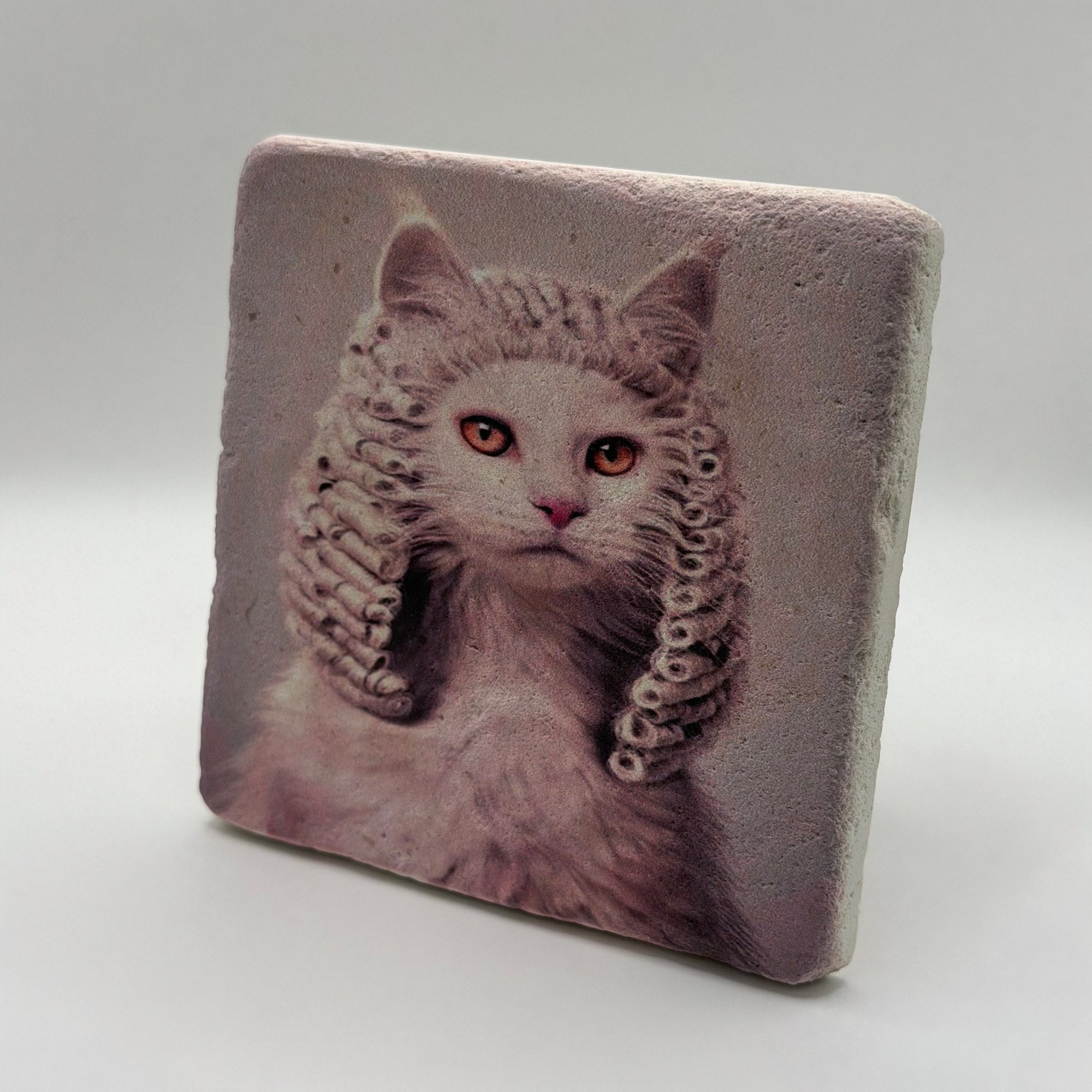 If Animals Could Jugde Cat Portrait Stone Coaster