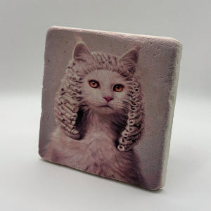 If Animals Could Jugde Cat Portrait Stone Coaster