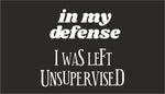 In My Defense I Was Left Unsupervised quote design displayed as a decorative wall sign