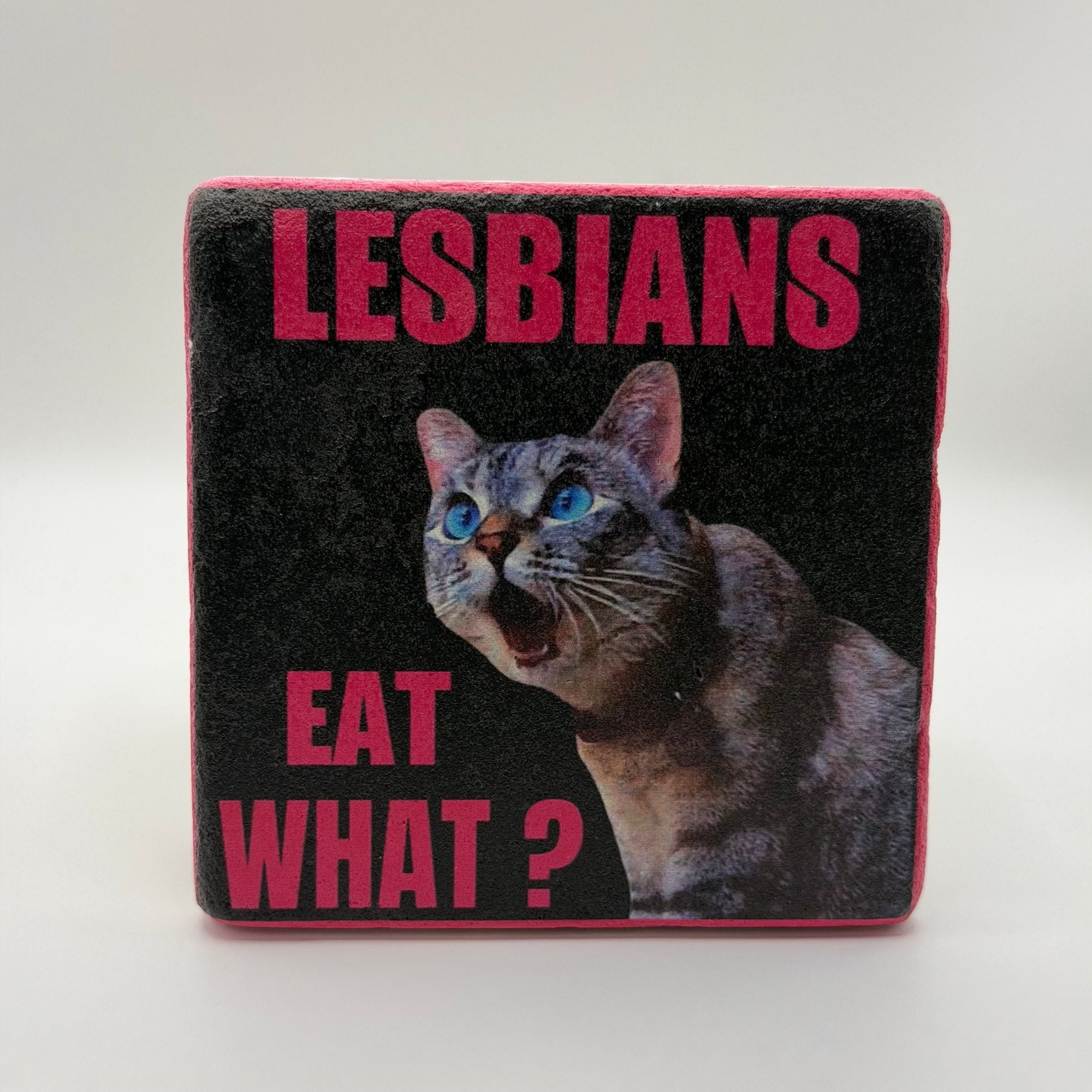 Lesbians Eat What slogan printed on square natural travertine stone coaster