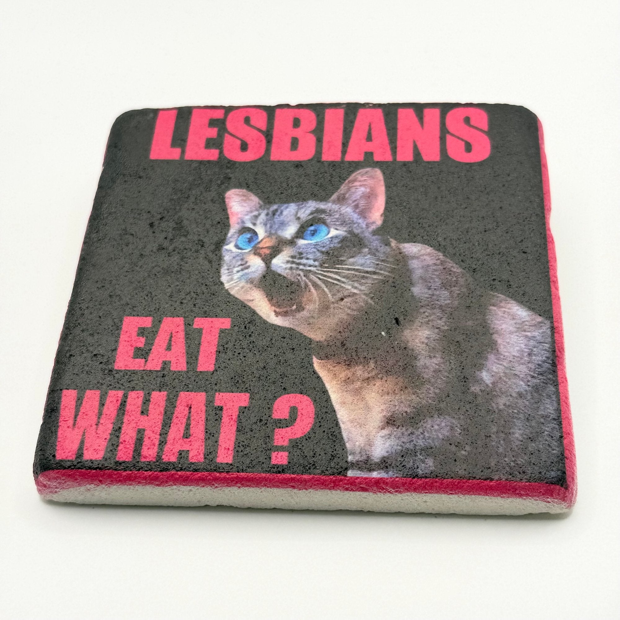 Lesbians Eat What Stone Coaster