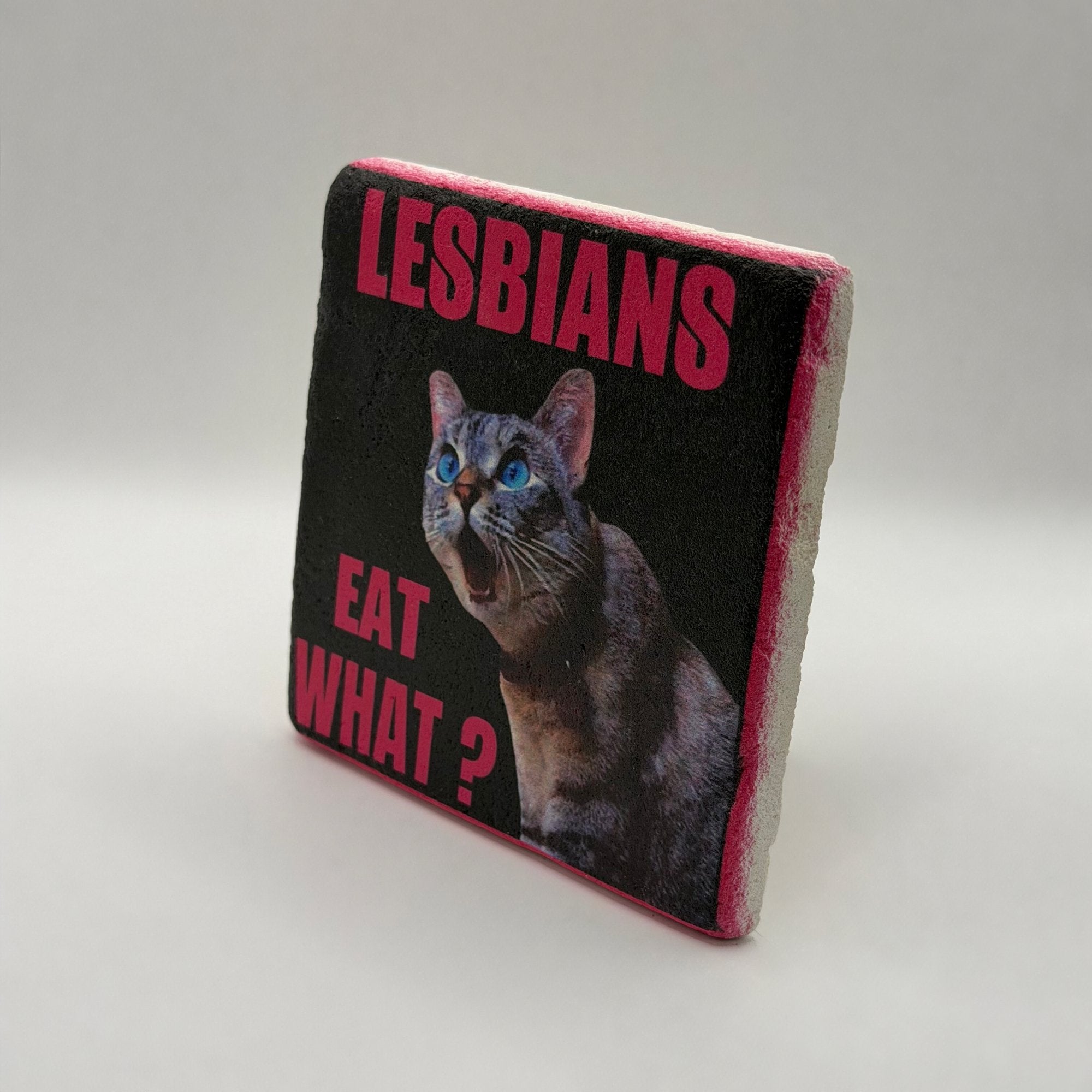 Lesbians Eat What Stone Coaster