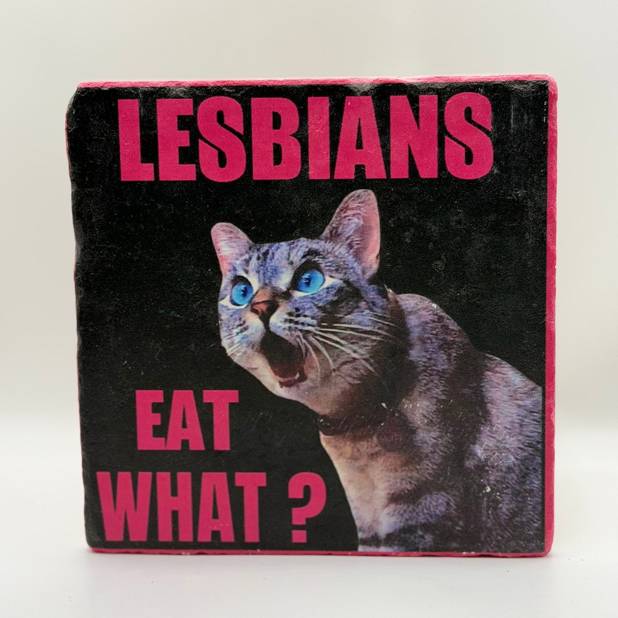 Lesbians Eat What Natural Travertine Stone Hotpad artwork