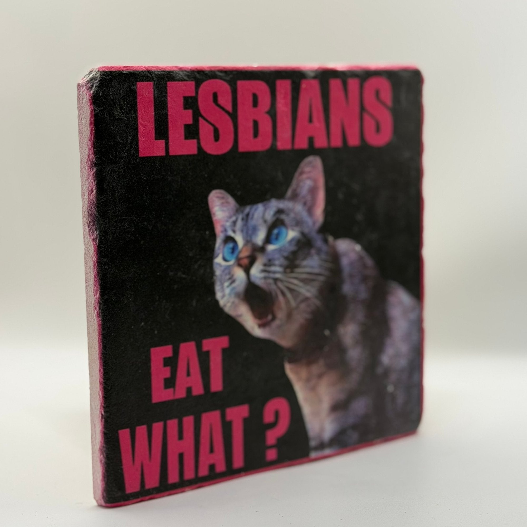 Lesbians Eat What Natural Travertine Stone Hotpad artwork