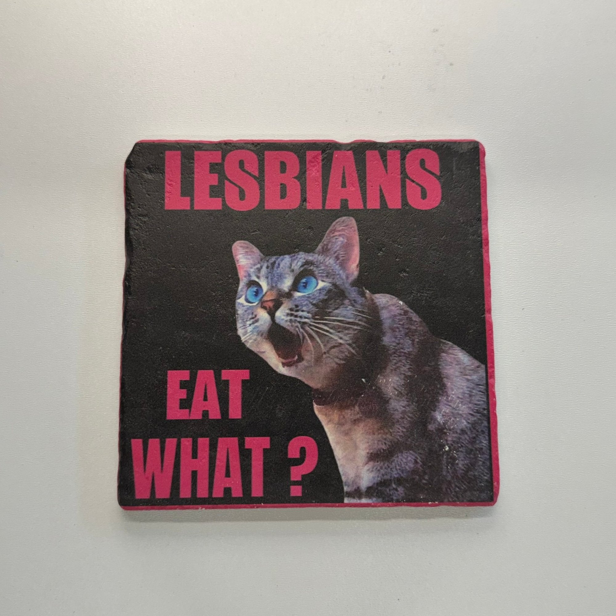 Lesbians Eat What Natural Travertine Stone Hotpad artwork