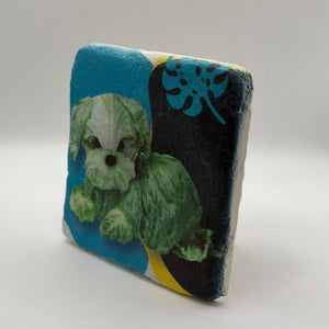 Crunchy Lettuce Stone Coaster
