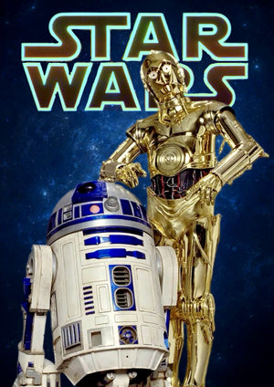 R2D2 & C-3PO artwork printed on MDF wall poster