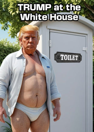 Donald Trump portrait printed on MDF wall poster