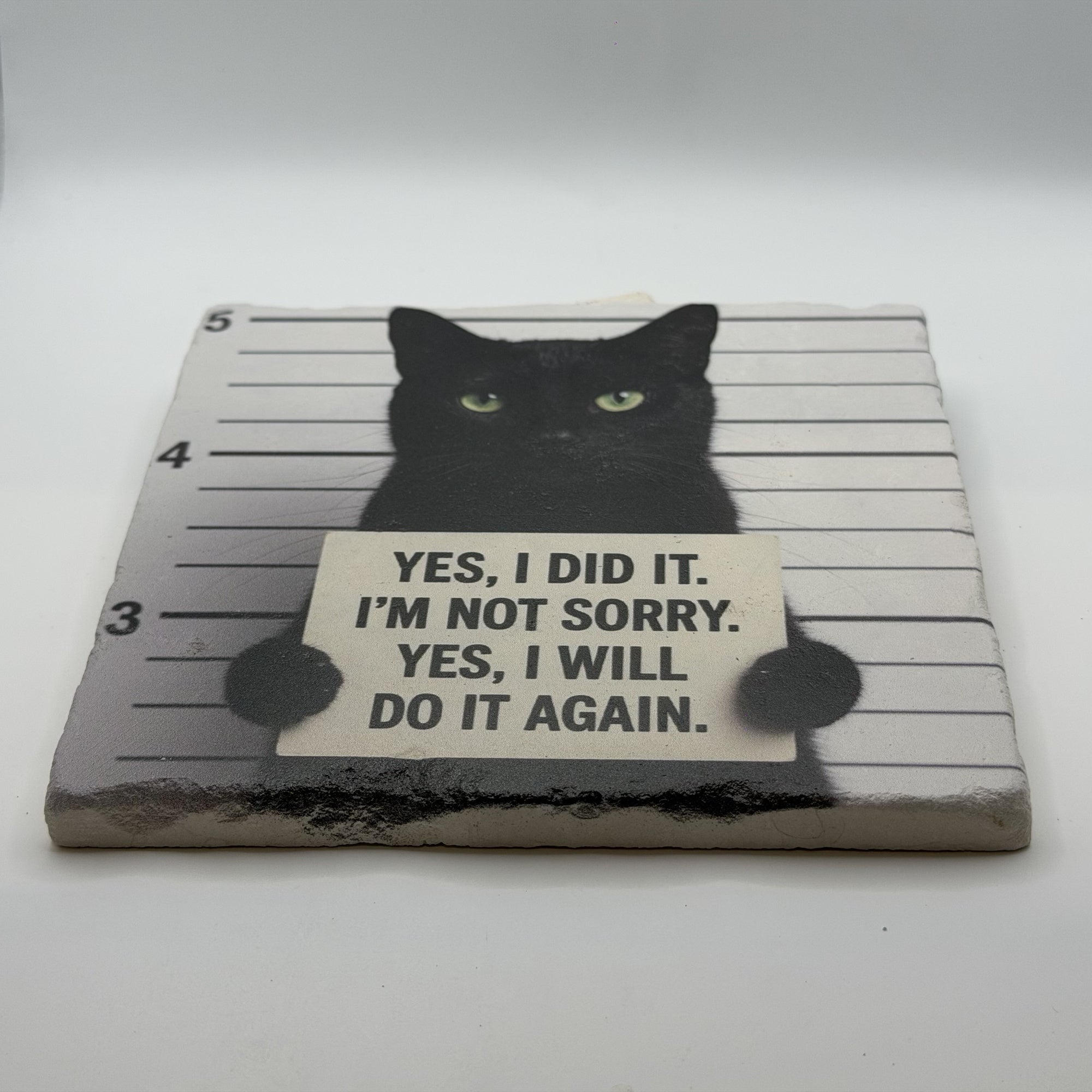 Yes, I Did It I Am Not Sorry Yes I Will Do It Again Natural Travertine Stone Hotpad 2
