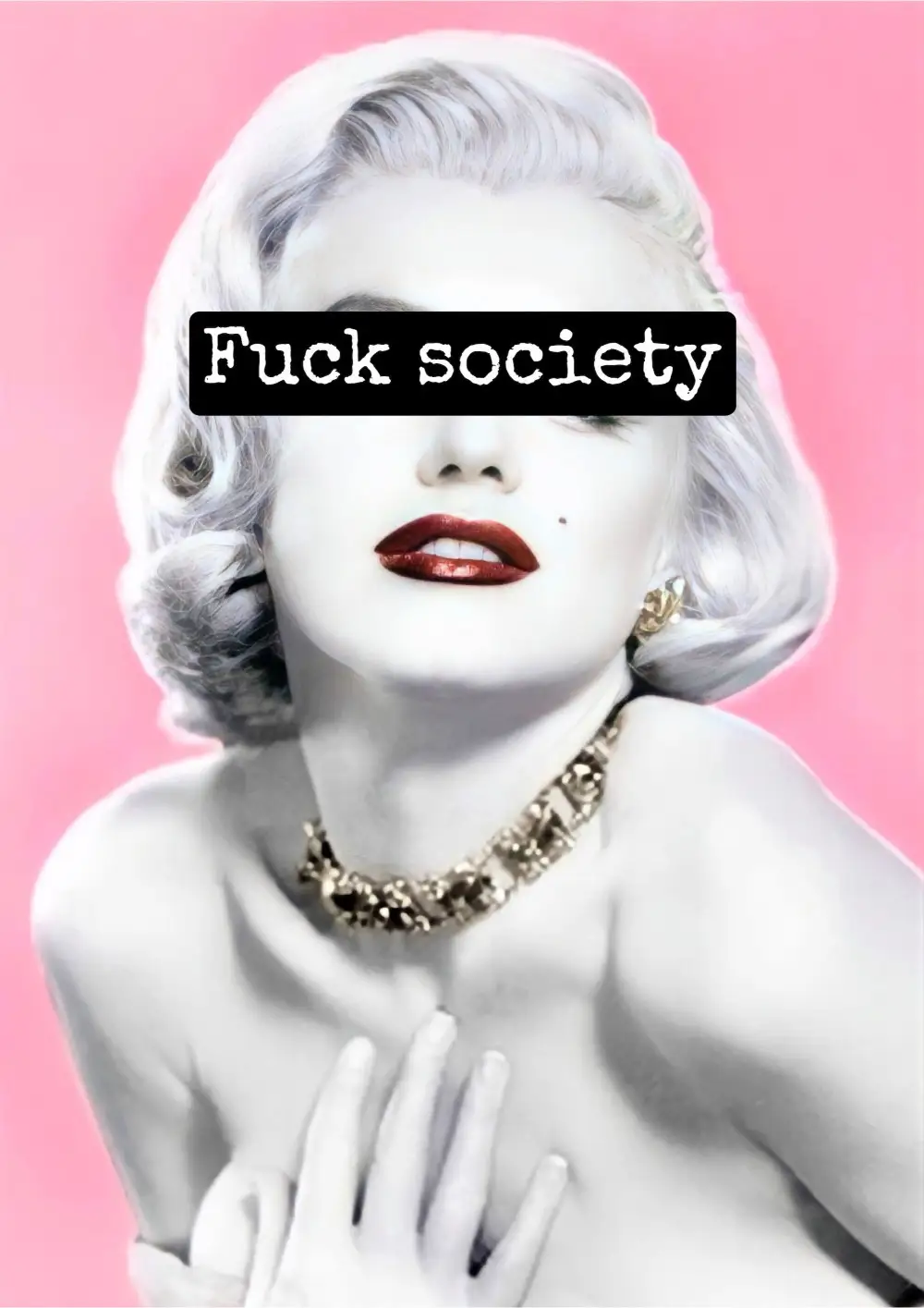 204-Fuck Society Poster