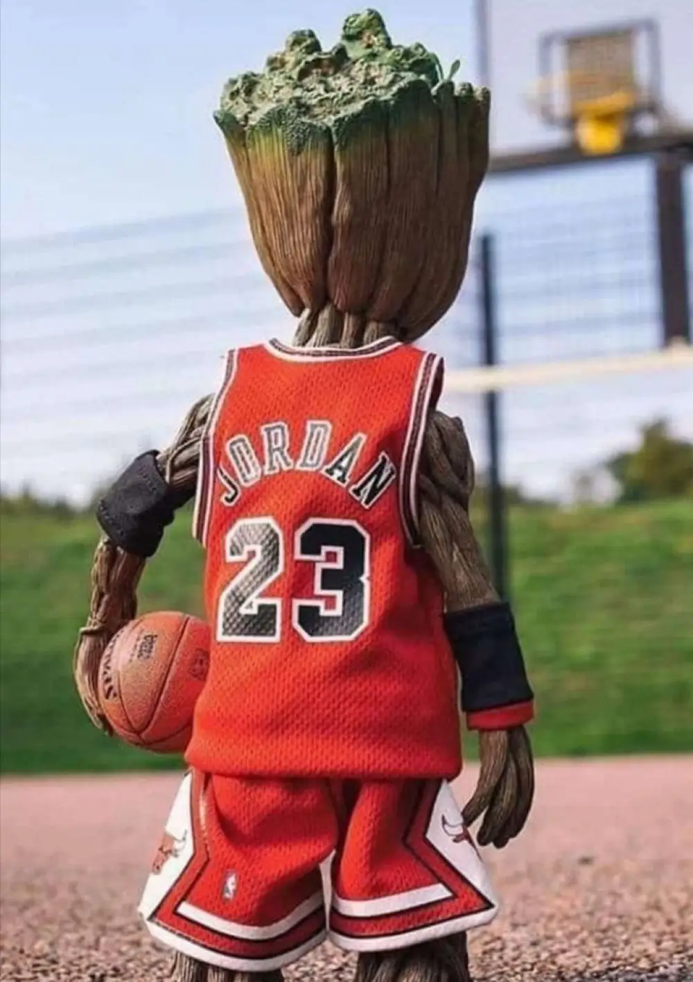 71-Groot Jordan Poster